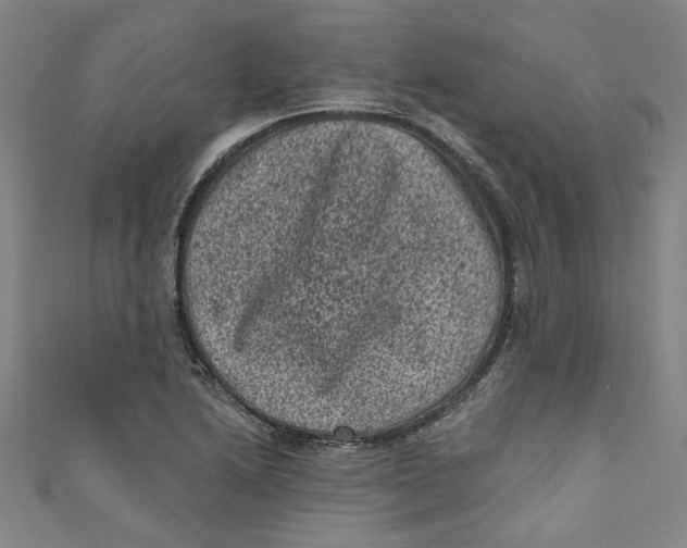 X0000110941222200907101240