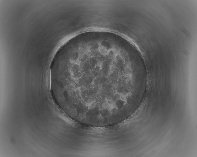 X0000110941223200907101240