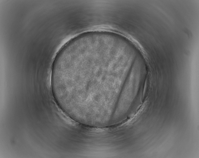 X0000110941224200907101240