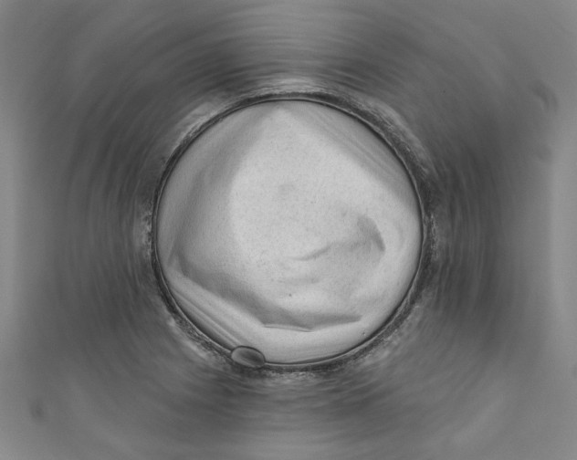 X0000110941225200907101240