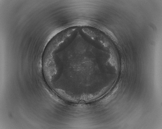 X0000110941226200907101240