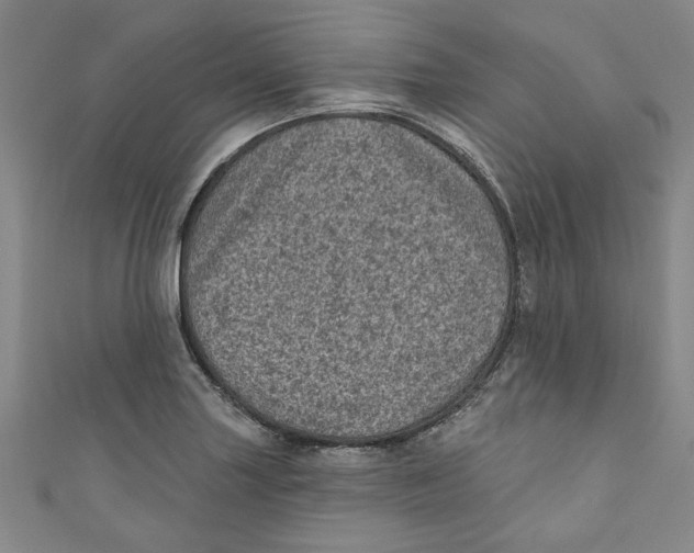 X0000110941227200907101240