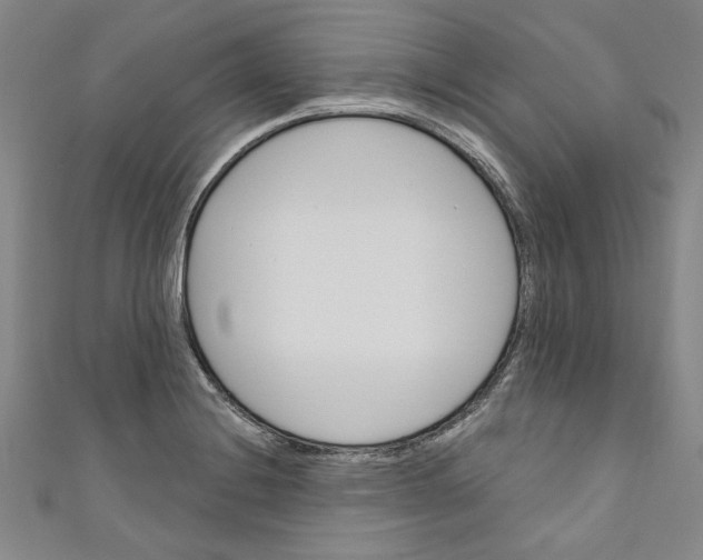 X0000110941228200907101240