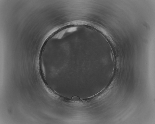 X0000110941229200907101240