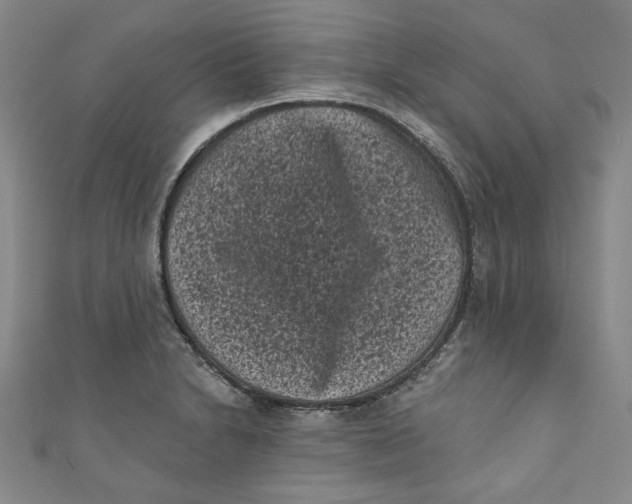 X0000110941230200907101240