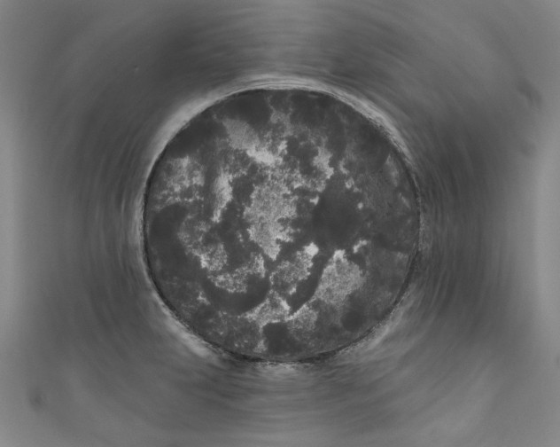 X0000110941231200907101240