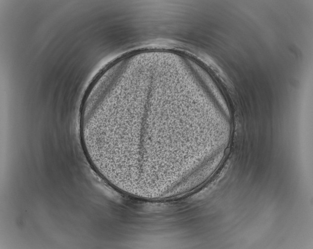 X0000110941232200907101240