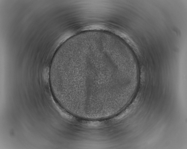 X0000110941233200907101240