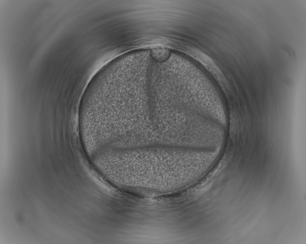 X0000110941234200907101240