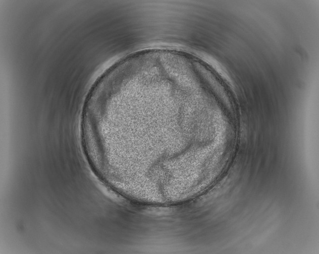 X0000110941237200907101240