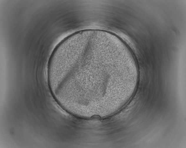 X0000110941238200907101240