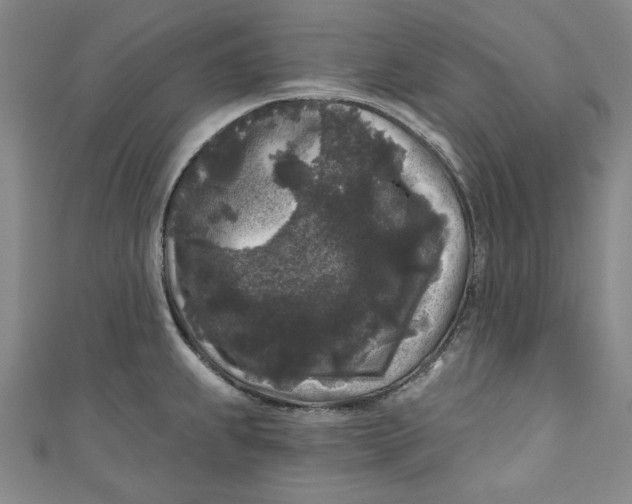 X0000110941239200907101240