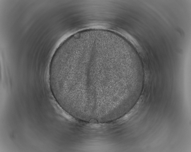 X0000110941240200907101240