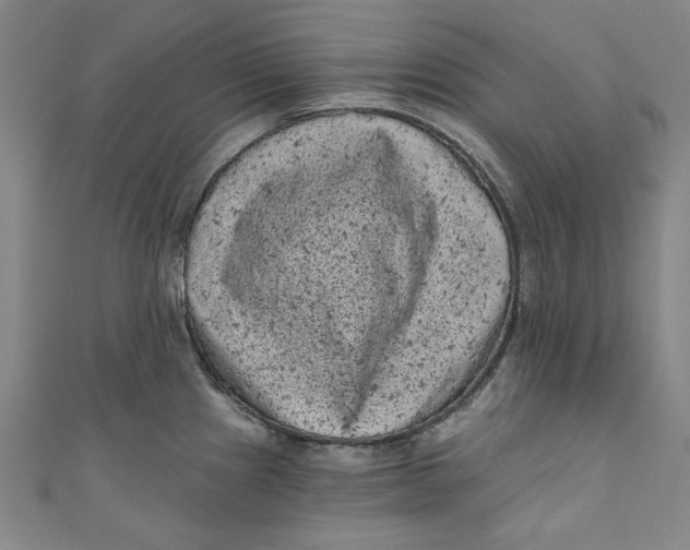 X0000110941241200907101240