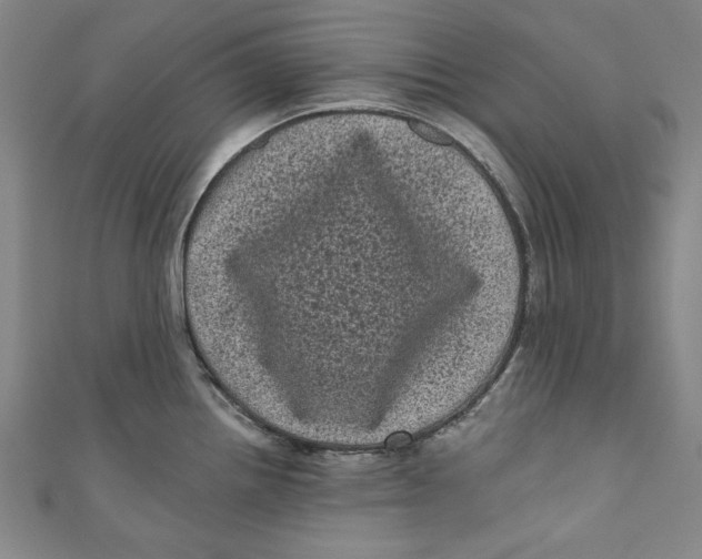 X0000110941242200907101240