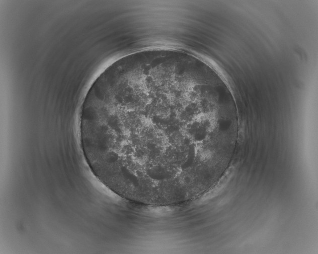 X0000110941243200907101240