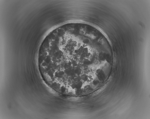 X0000110941245200907101240