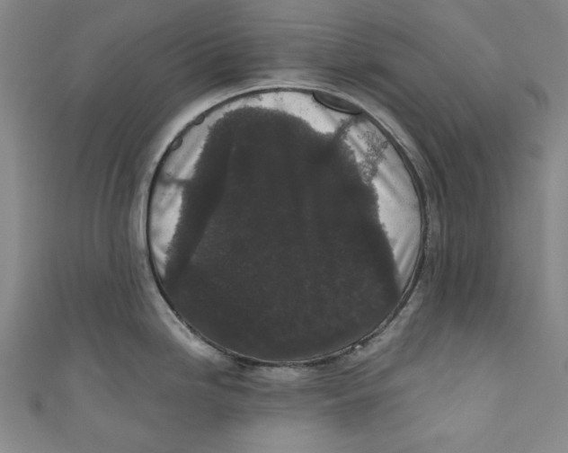 X0000110941246200907101240