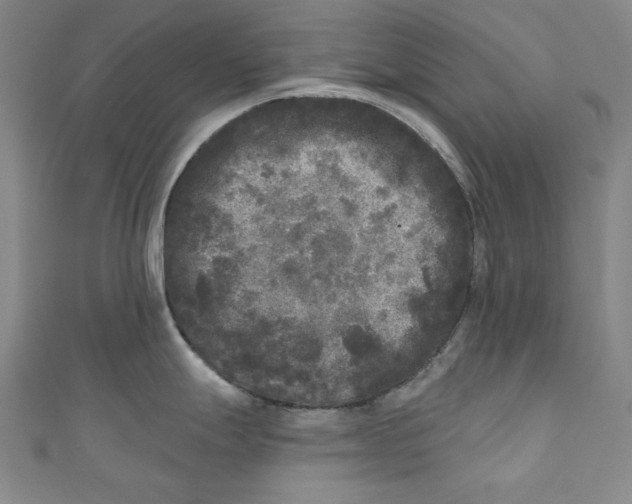 X0000110941247200907101240