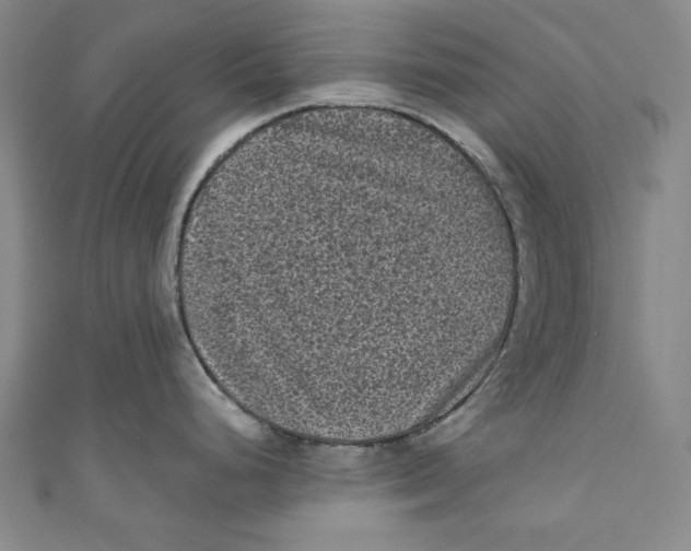 X0000110941248200907101240