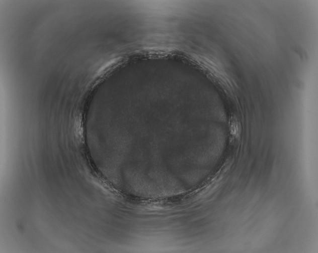 X0000110941252200907101240