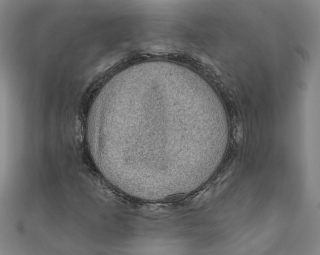 X0000110941253200907101240