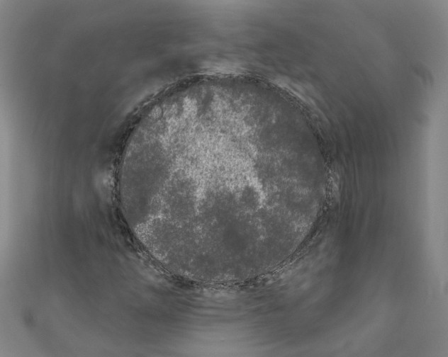 X0000110941254200907101240