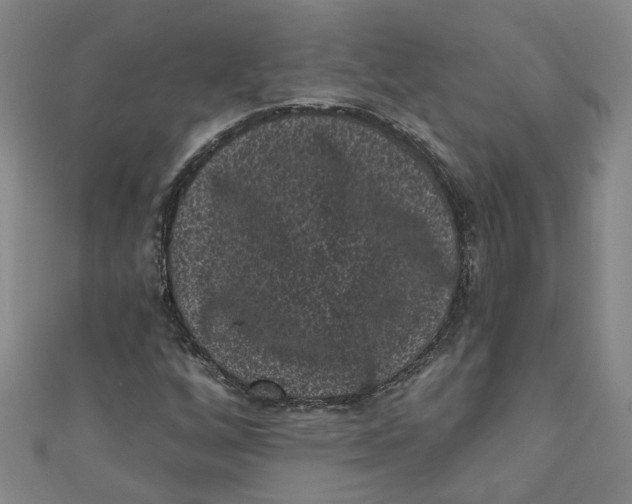 X0000110941256200907101240