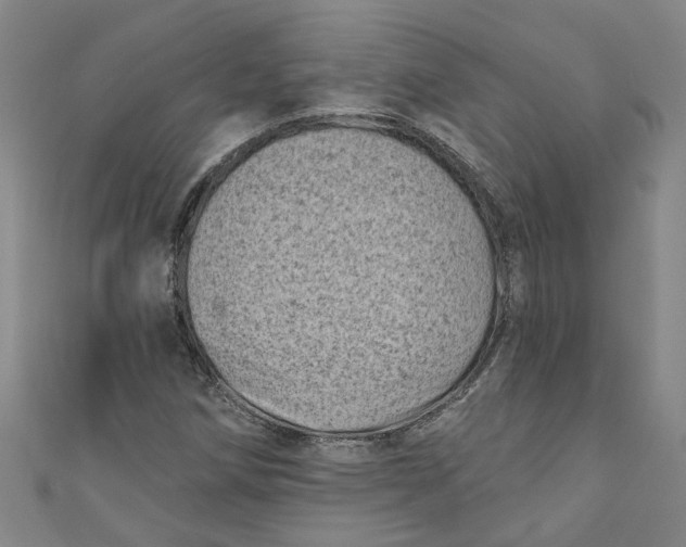 X0000110941258200907101240