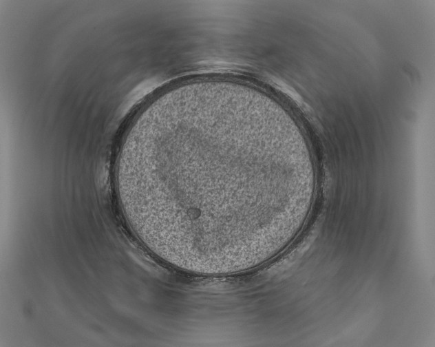 X0000110941259200907101240