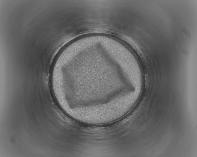 X0000110941260200907101240