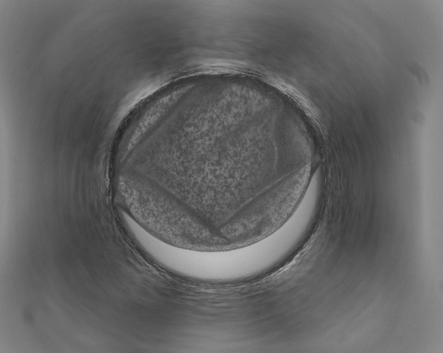 X0000110941261200907101240