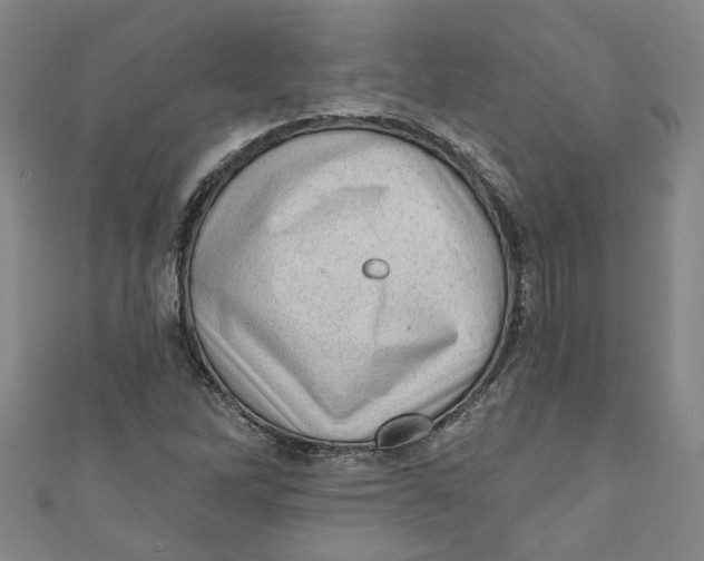 X0000110941262200907101240