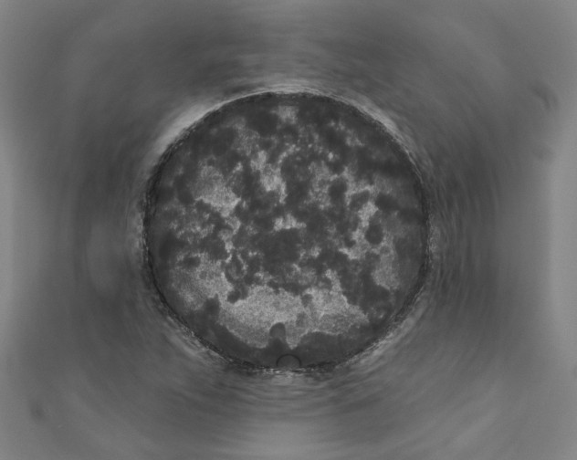 X0000110941263200907101240