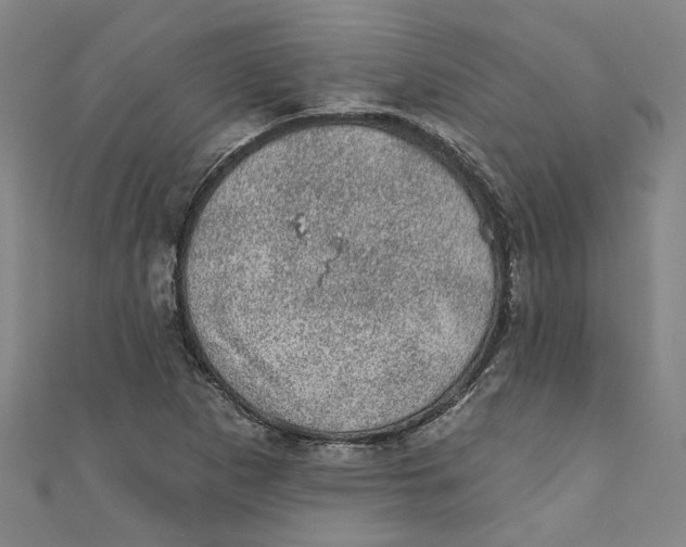 X0000110941265200907101240