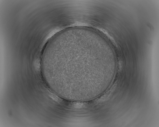 X0000110941266200907101240