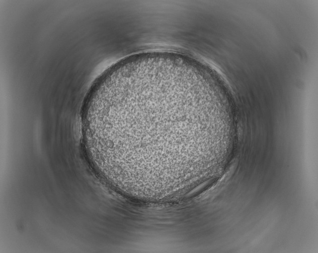 X0000110941267200907101240