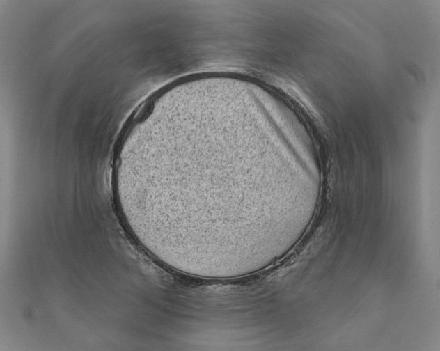 X0000110941268200907101240