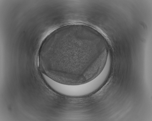 X0000110941269200907101240