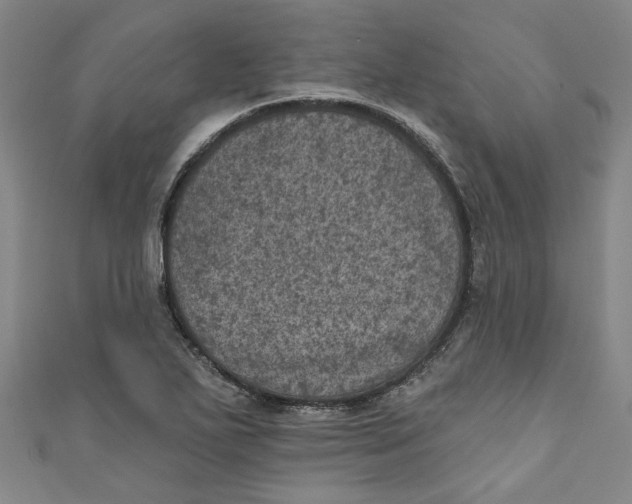 X0000110941271200907101240