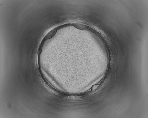 X0000110941272200907101240