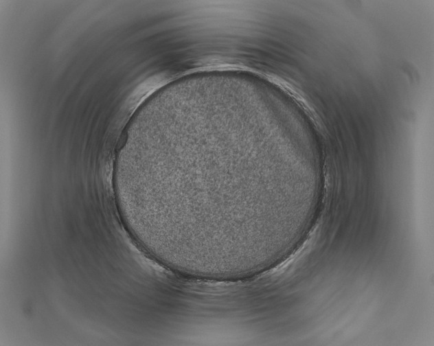 X0000110941273200907101240