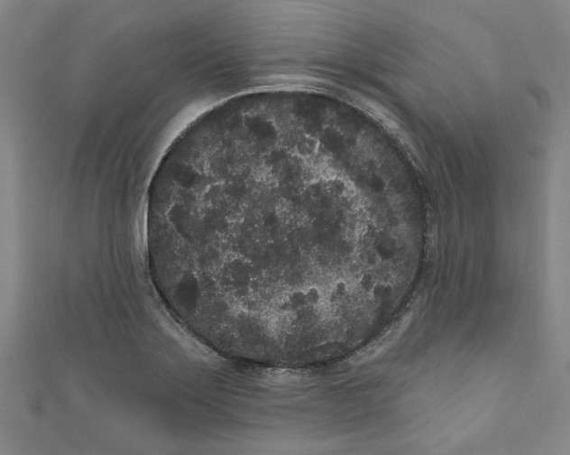 X0000110941275200907101239