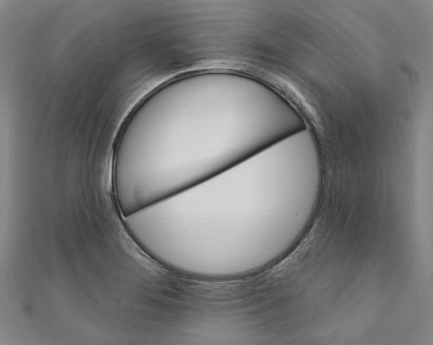 X0000110941276200907101239