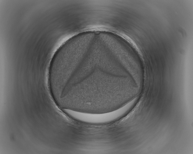 X0000110941277200907101239