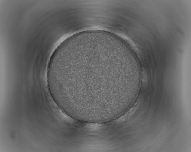 X0000110941278200907101239