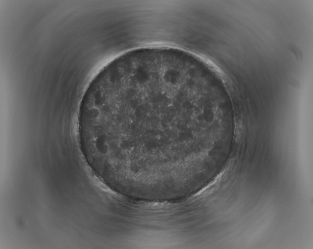 X0000110941279200907101239