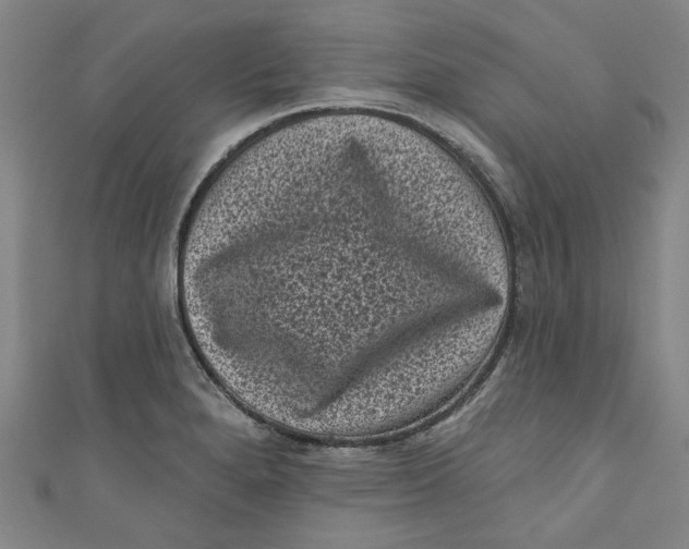 X0000110941280200907101239