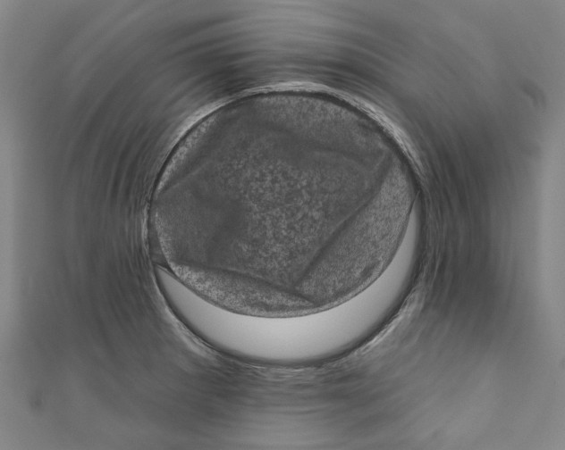 X0000110941281200907101239