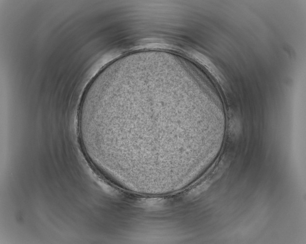 X0000110941282200907101239